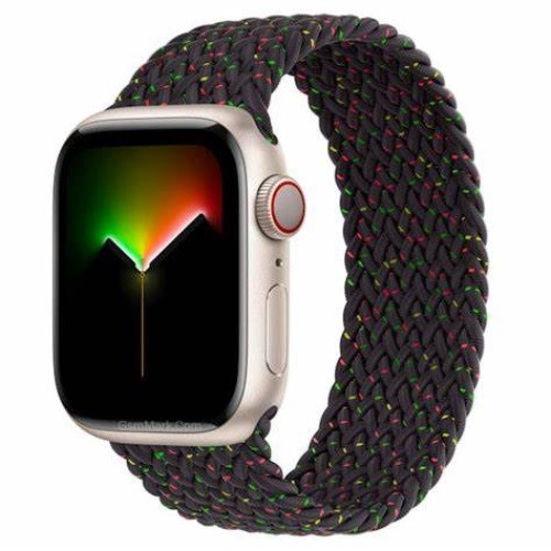 Apple Watch Edition Series 6