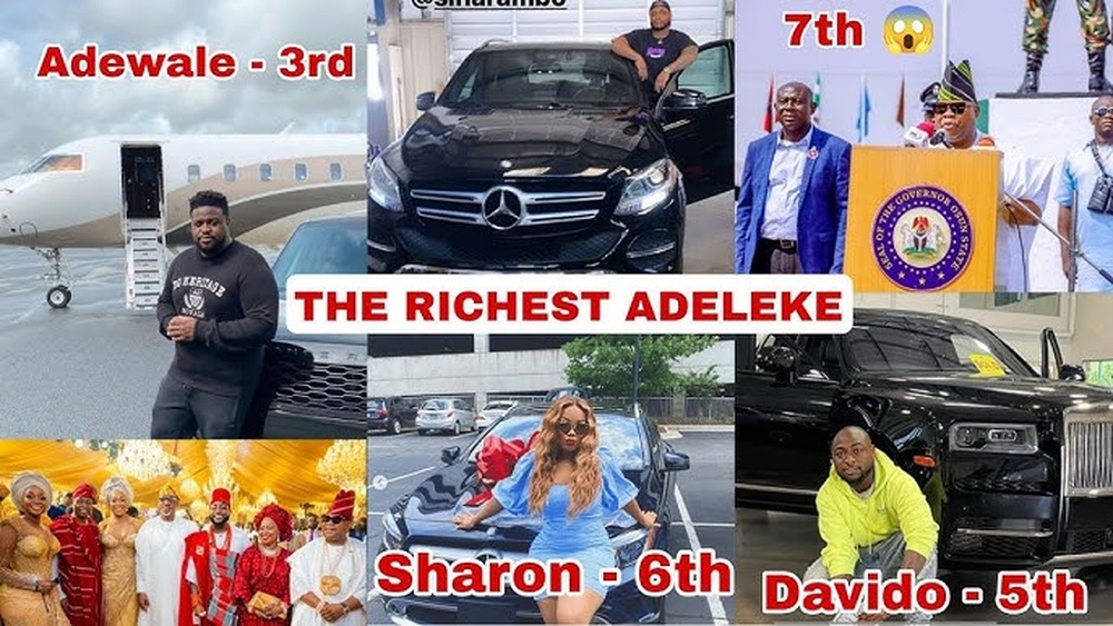 Adedeji Adeleke Net Worth 2026
