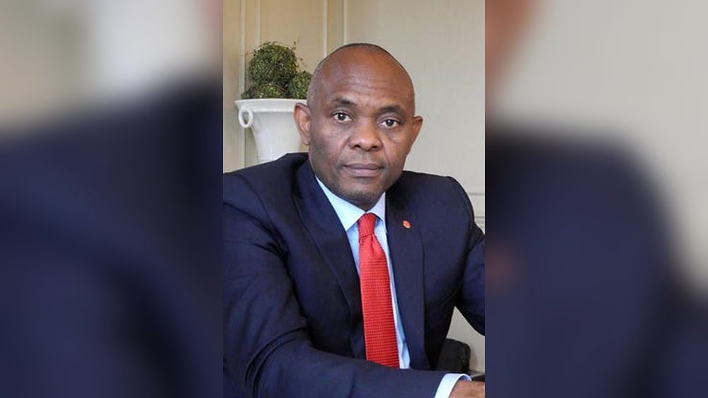Tony Elumelu Net Worth 2026